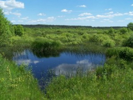 озеро (440x330, 52 Kb)